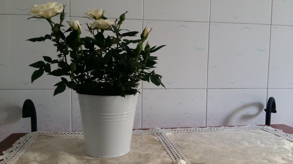 Apartment Antichi Sogni *